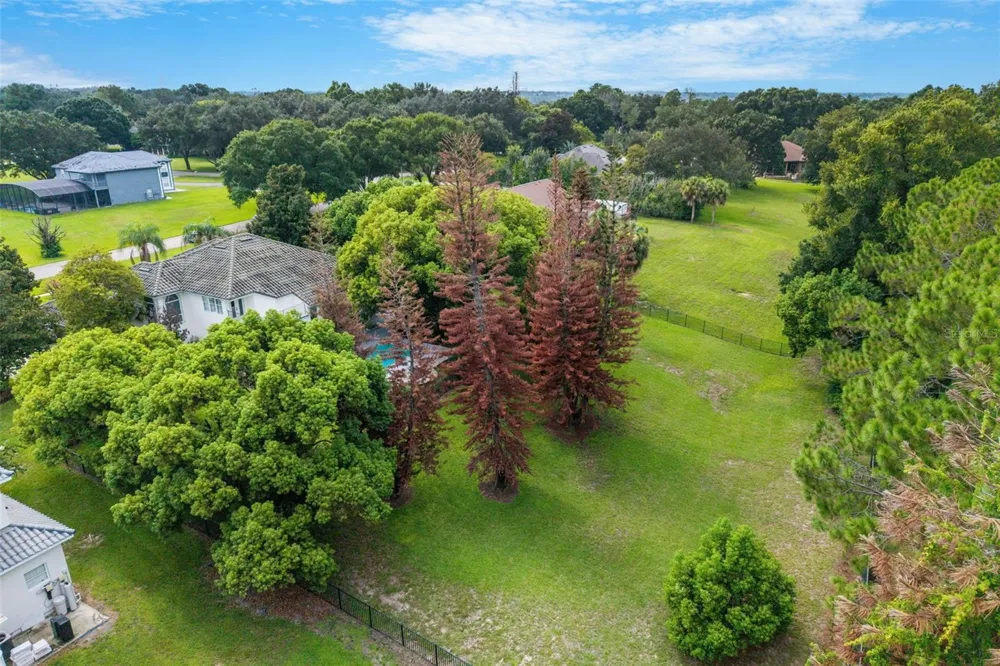 2540 HEMPEL COVE CT Windermere, FL 34786