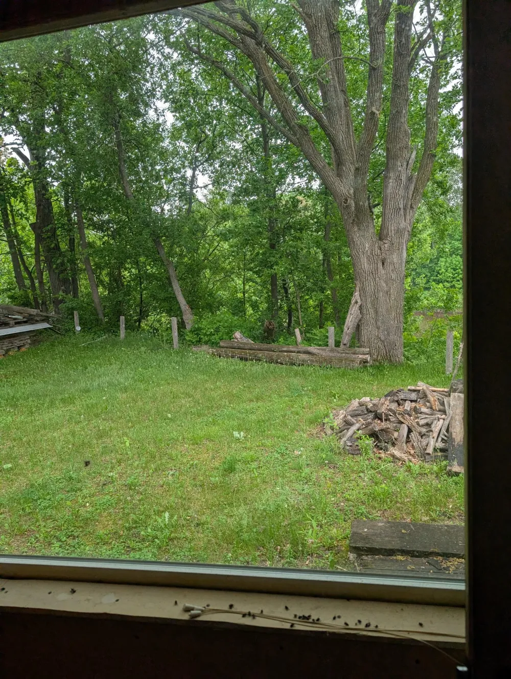100 Cedar Street Littlefork, MN 56653