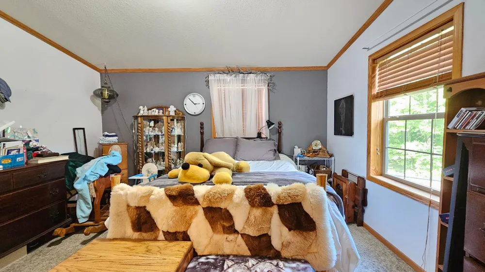 6438 Cougar Trail NW Walker, MN 56484