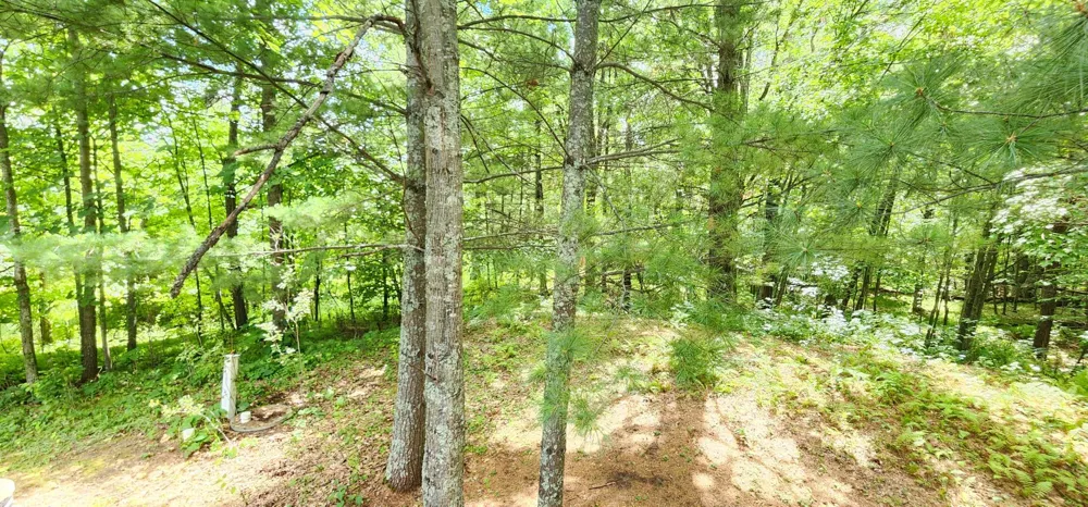 6438 Cougar Trail NW Walker, MN 56484