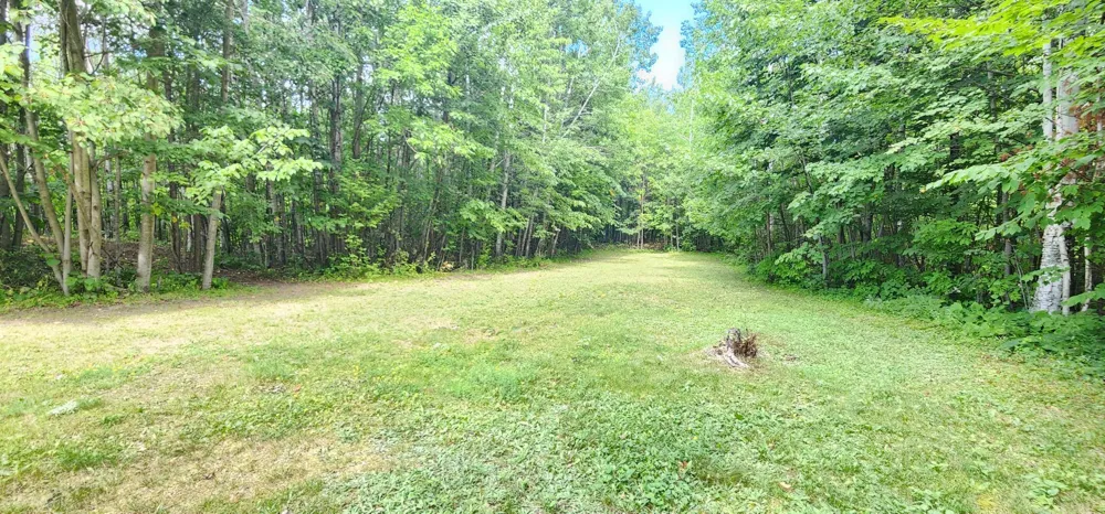 6444 Cougar Trail NW Walker, MN 56484