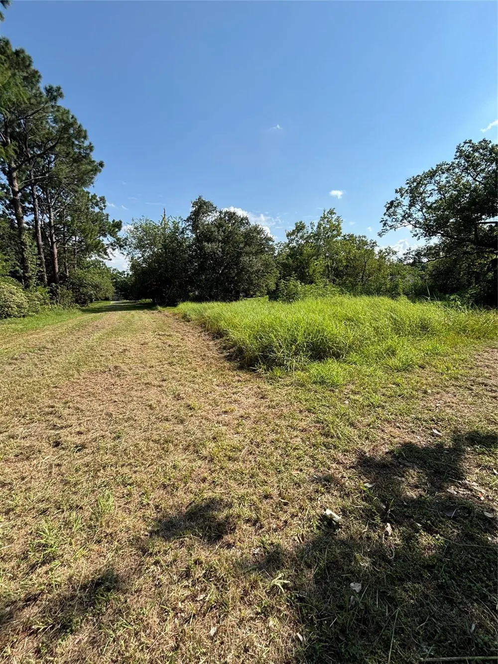 1116 Duncan Street Bay City, TX 77414