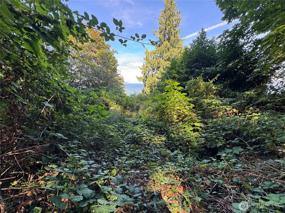 11002 Vashon Highway SW Vashon, WA 98070
