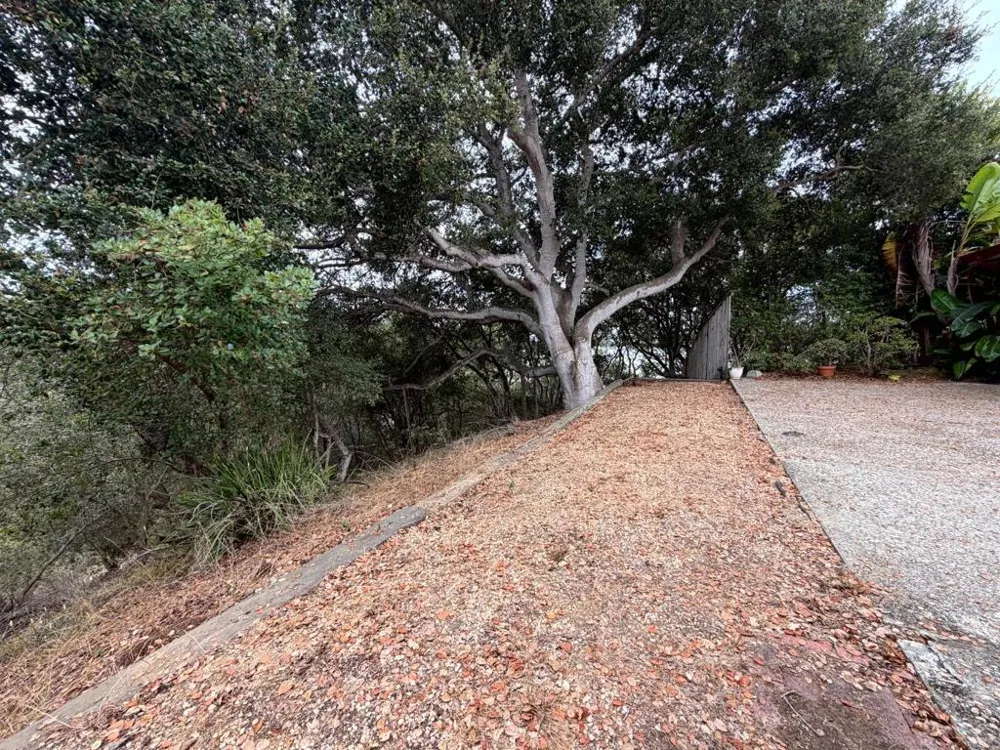 1101 Elkhorn Road #B Royal Oaks, CA 95076