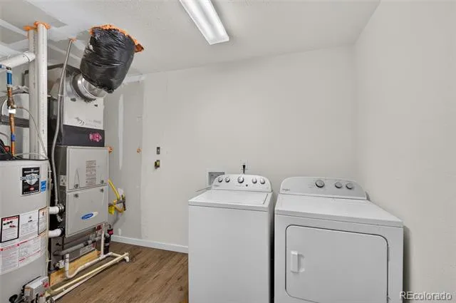19133 E 54th Place Denver, CO 80249