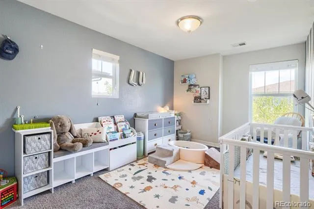 3332 Valentia Street Denver, CO 80238