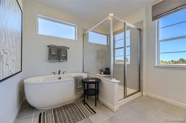 10710 Hanging Lake Place Parker, CO 80138
