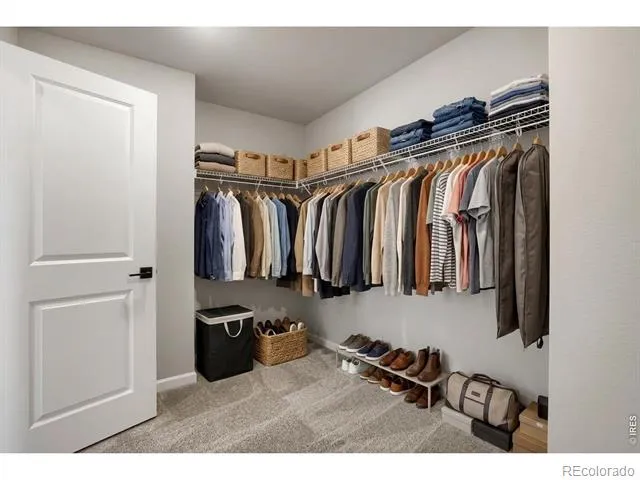 2454 Heyworth Lane Fort Collins, CO 80524