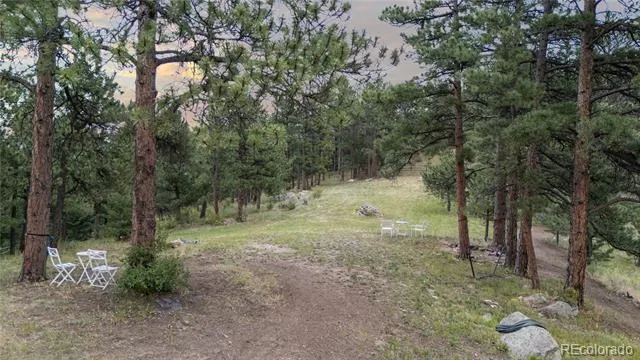 33077 Alta Vista Drive Evergreen, CO 80439