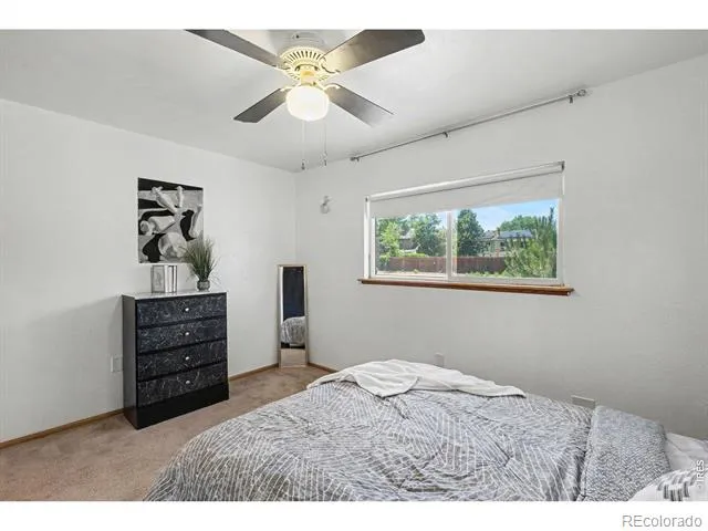 515 7th Street Windsor, CO 80550