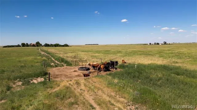 8475 County Road 7 Joes, CO 80822