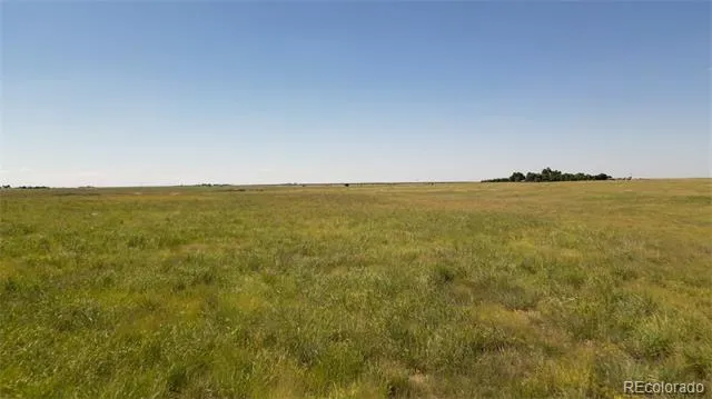 8475 County Road 7 Joes, CO 80822