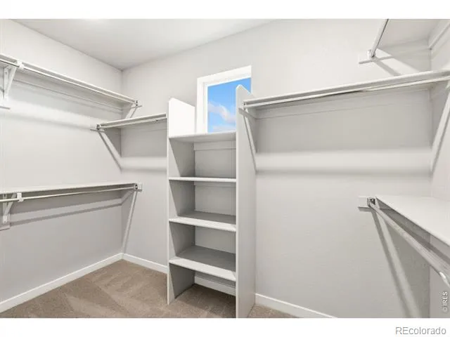 5069 John Muir Drive Timnath, CO 80547