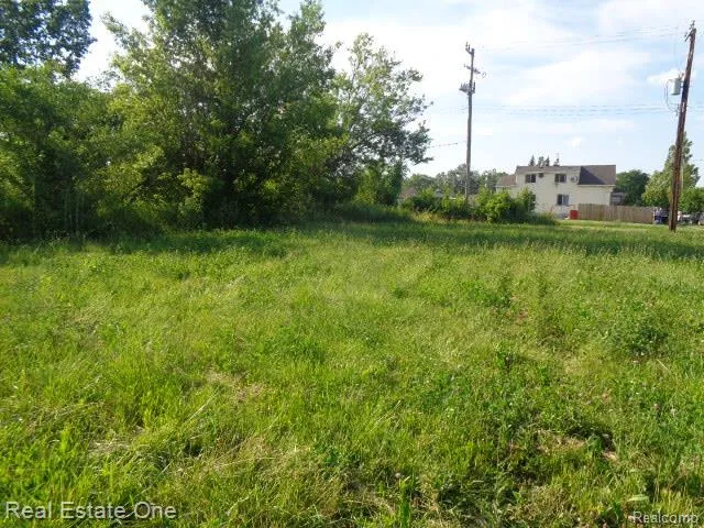 6041 Casmere Street Detroit City, MI 48212