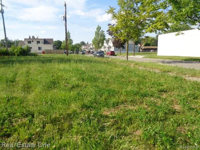 6041 Casmere Street Detroit City, MI 48212