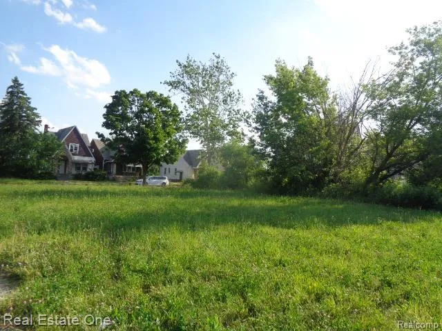 11630 Dwyer Street Detroit City, MI 48212