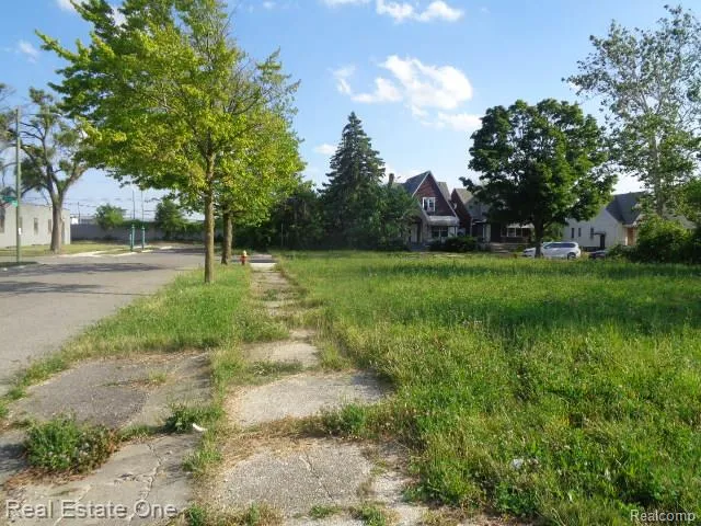 11630 Dwyer Street Detroit City, MI 48212