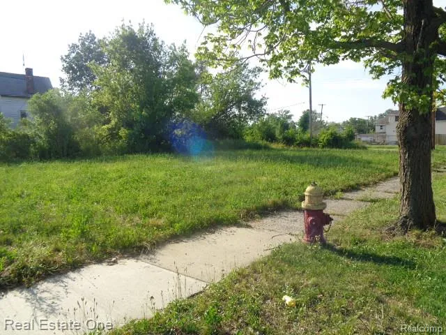 11630 Dwyer Street Detroit City, MI 48212