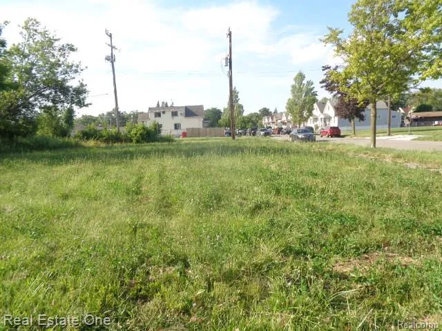 11630 Dwyer Street Detroit City, MI 48212