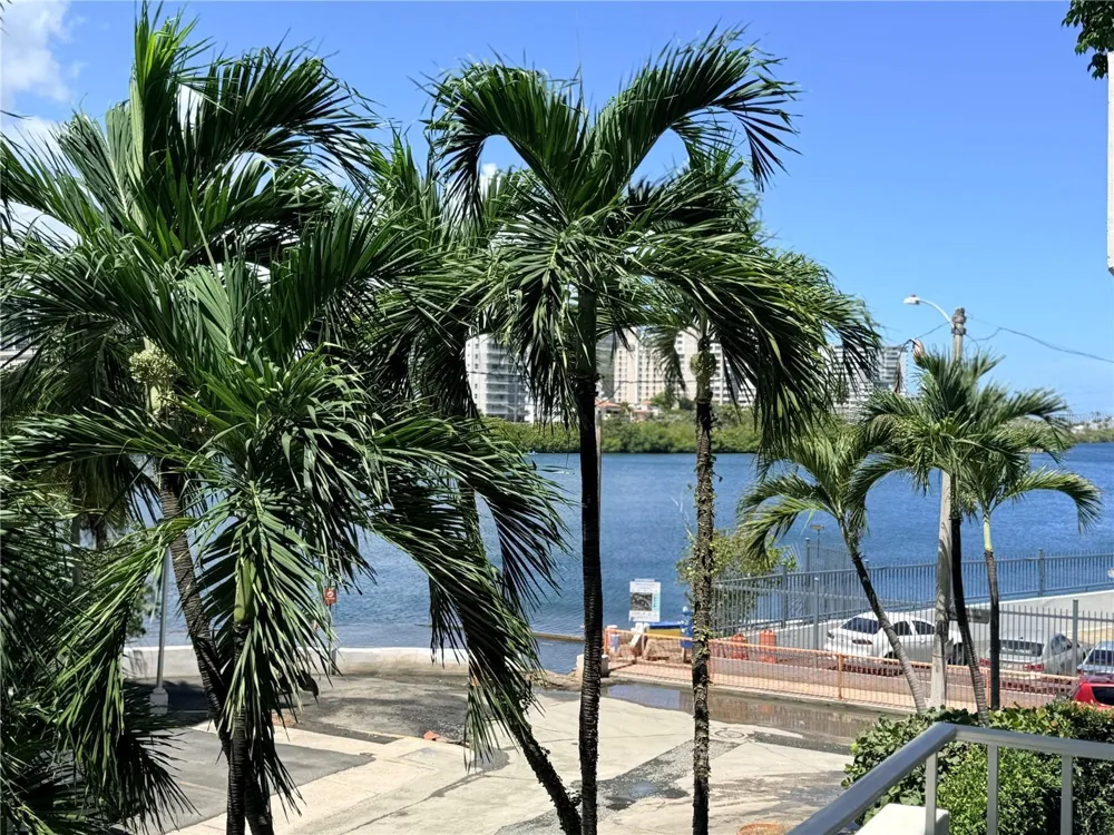 14 CALLE MARSEILLES #204 San Juan, PR 00907