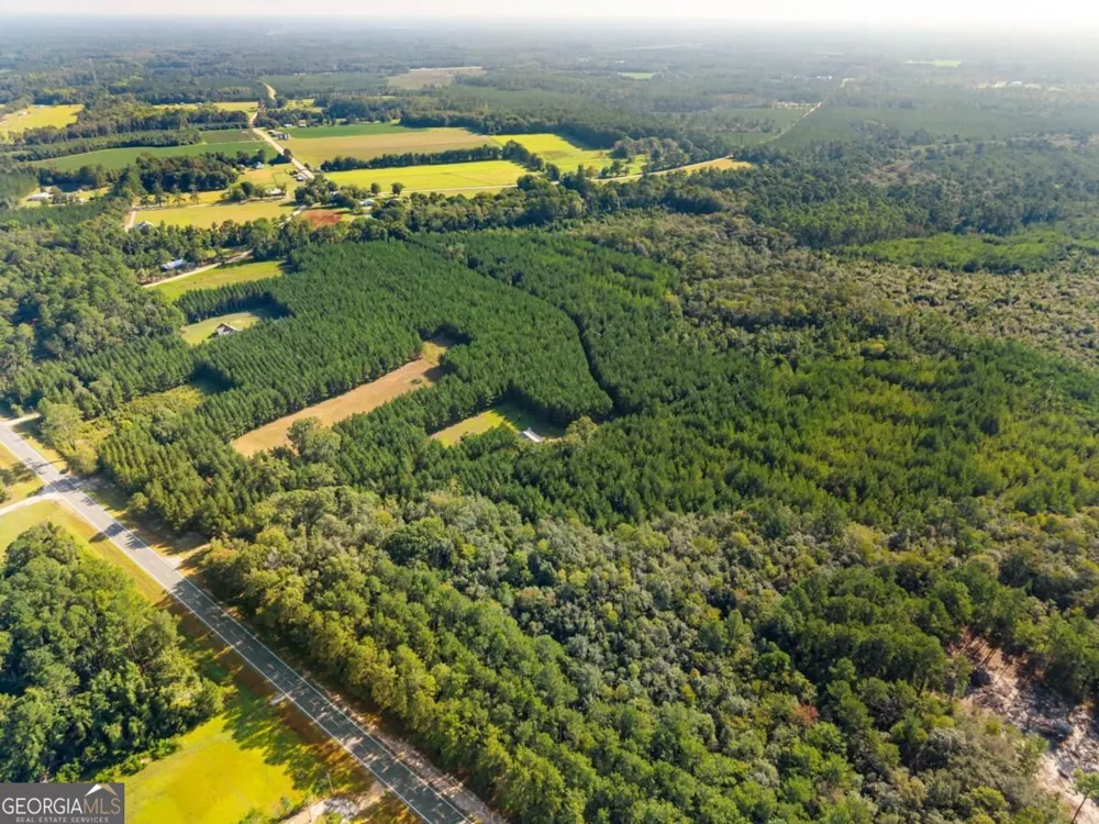 0 Hwy 67 Pembroke, GA 31321