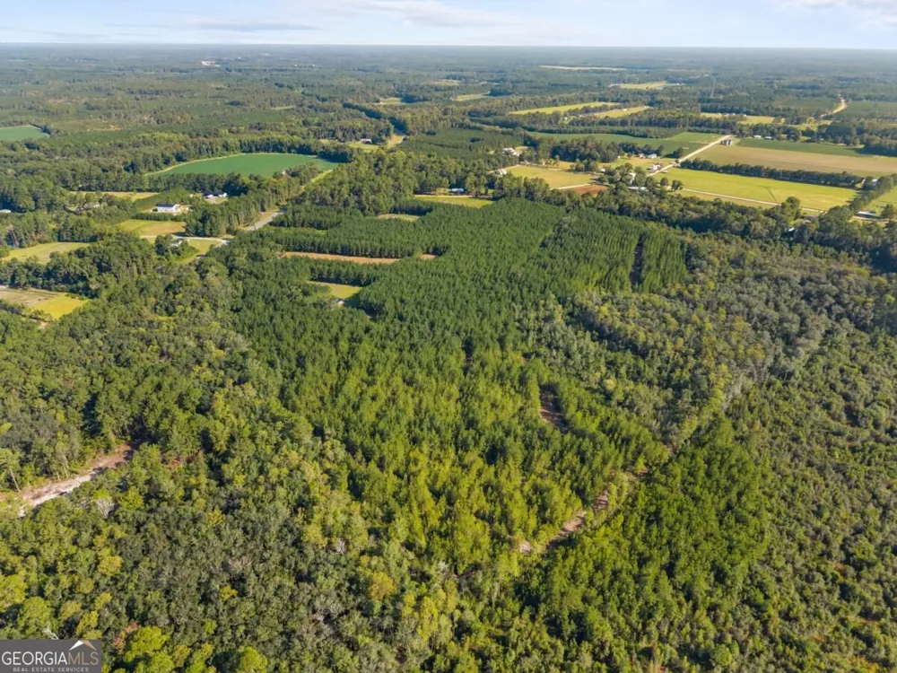 0 Hwy 67 Pembroke, GA 31321