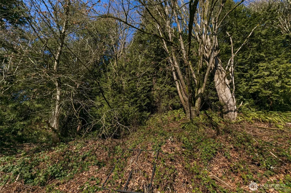 8109 Avondale Way NE Redmond, WA 98052