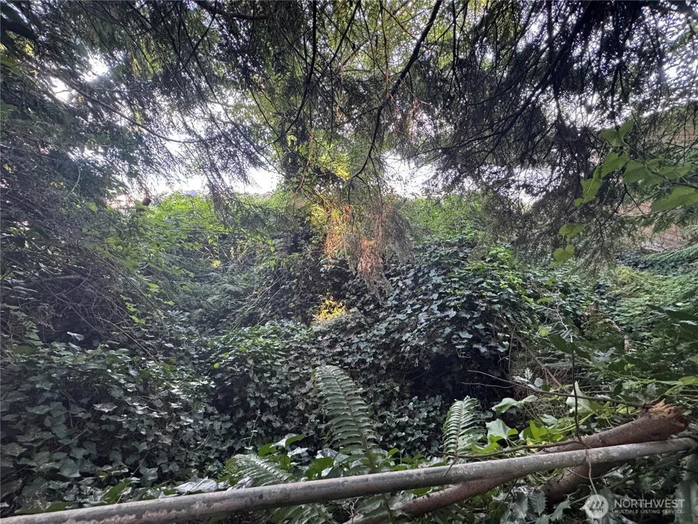 10016 SW Bunker Trail Vashon, WA 98070