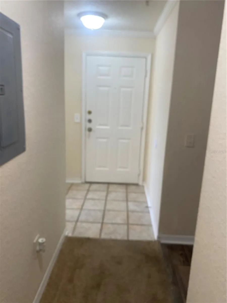 18001 RICHMOND PLACE DRIVE #1237 Tampa, FL 33647