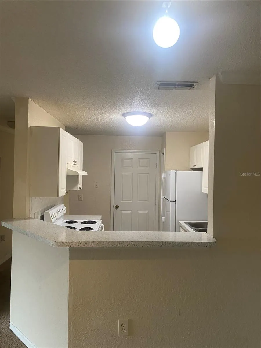 18001 RICHMOND PLACE DRIVE #1237 Tampa, FL 33647