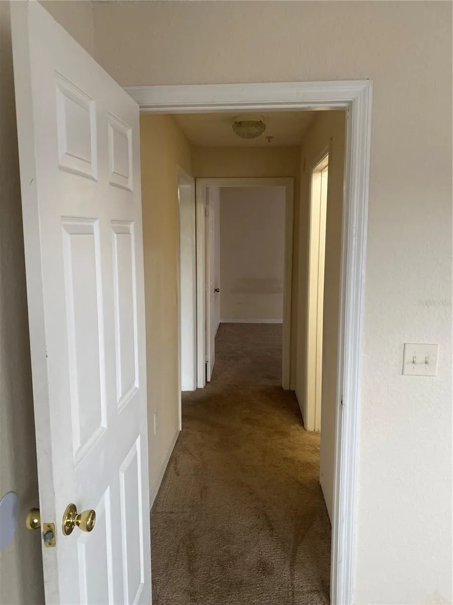 18001 RICHMOND PLACE DRIVE #1237 Tampa, FL 33647