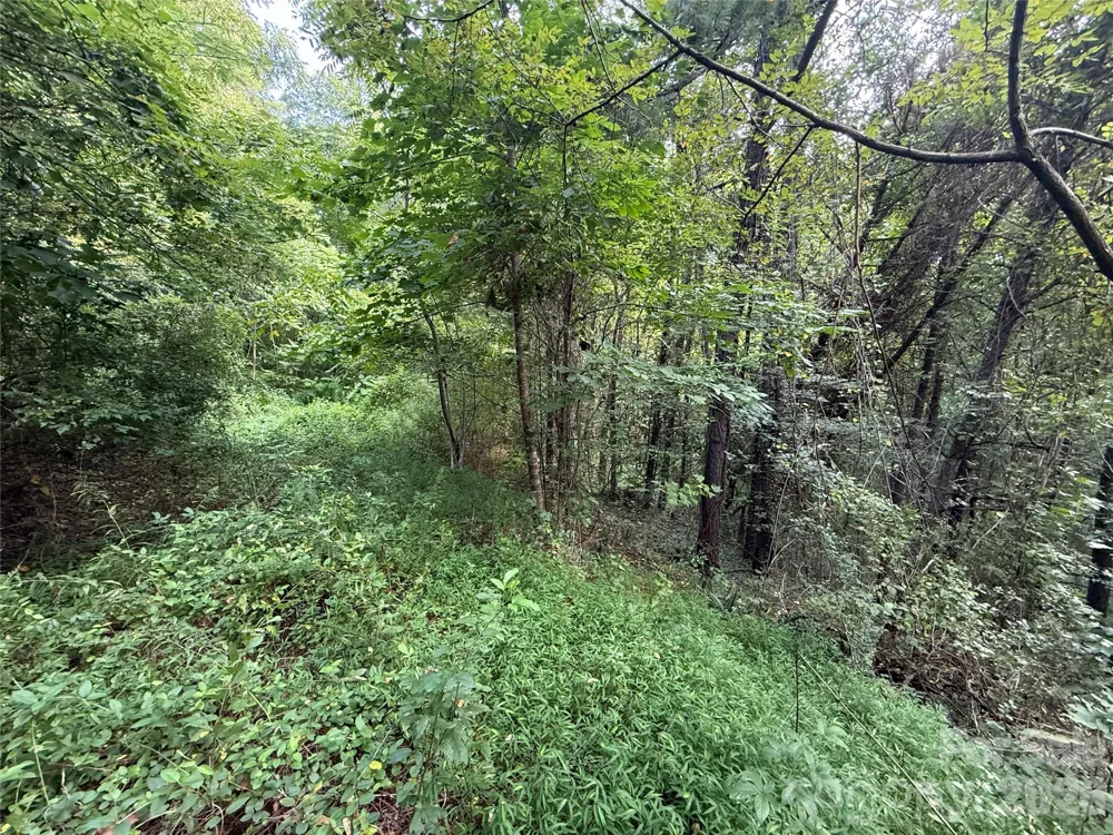 99999 Elk Mountain Ridge #14 Asheville, NC 28804