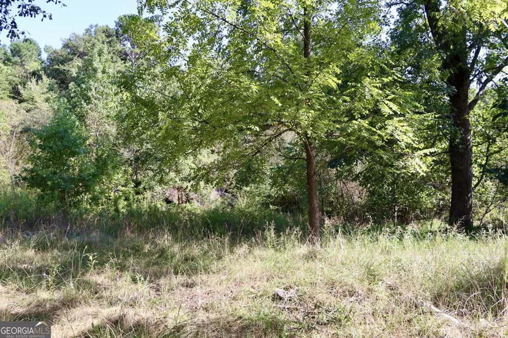 11334 Highway 337 Summerville, GA 30747