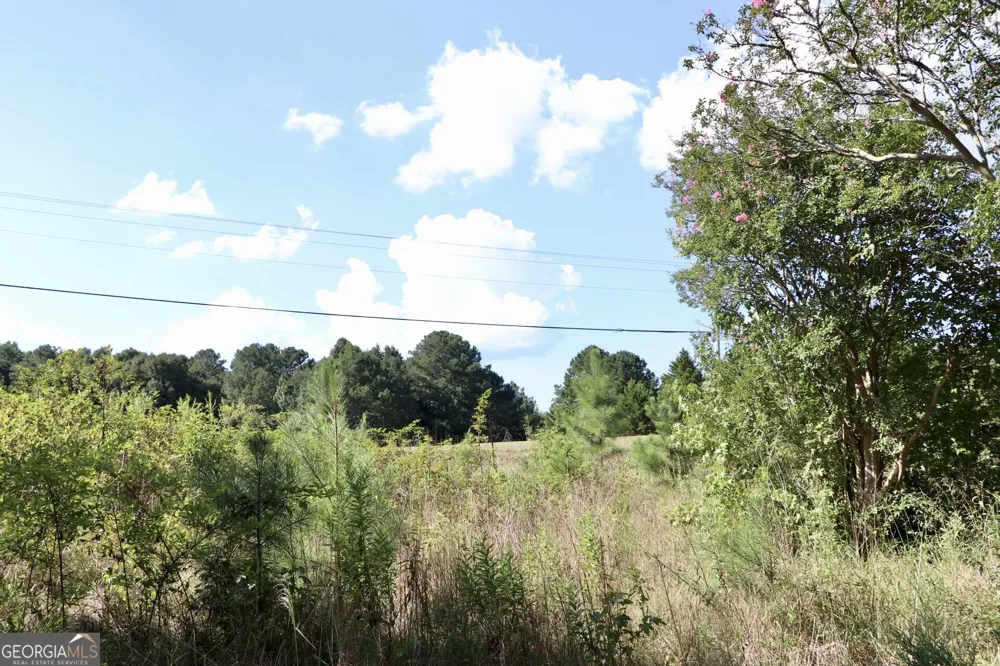 11334 Highway 337 Summerville, GA 30747