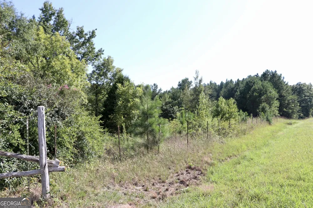 11334 Highway 337 Summerville, GA 30747