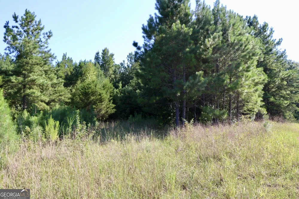 11334 Highway 337 Summerville, GA 30747