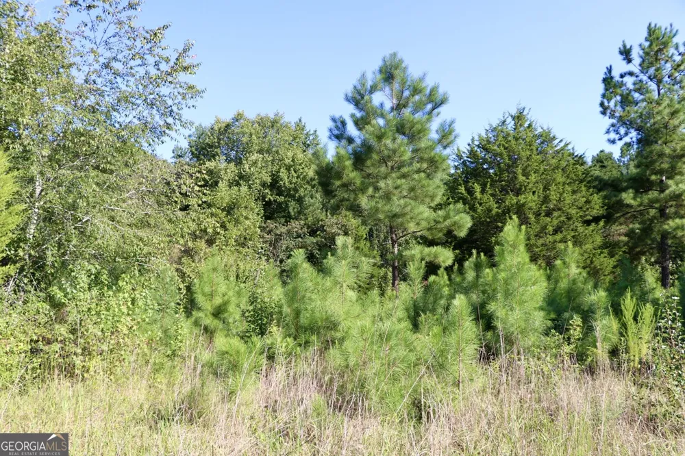 11334 Highway 337 Summerville, GA 30747