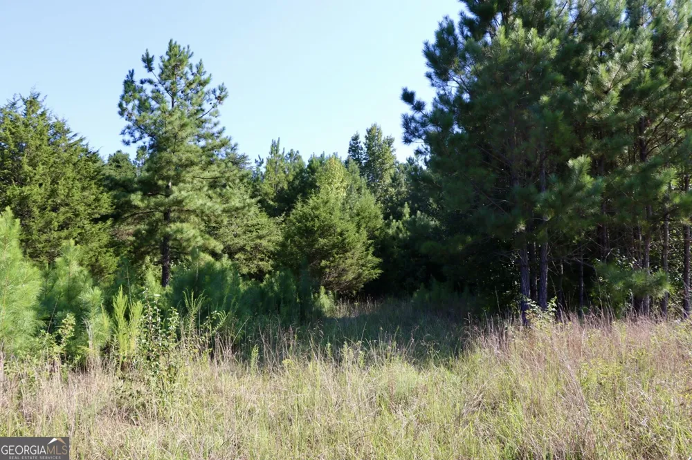 11334 Highway 337 Summerville, GA 30747