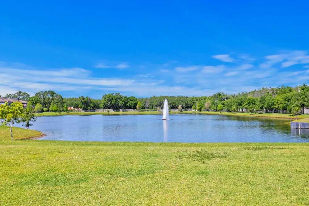 18908 WILLOWMORE CEDAR DRIVE Lutz, FL 33558