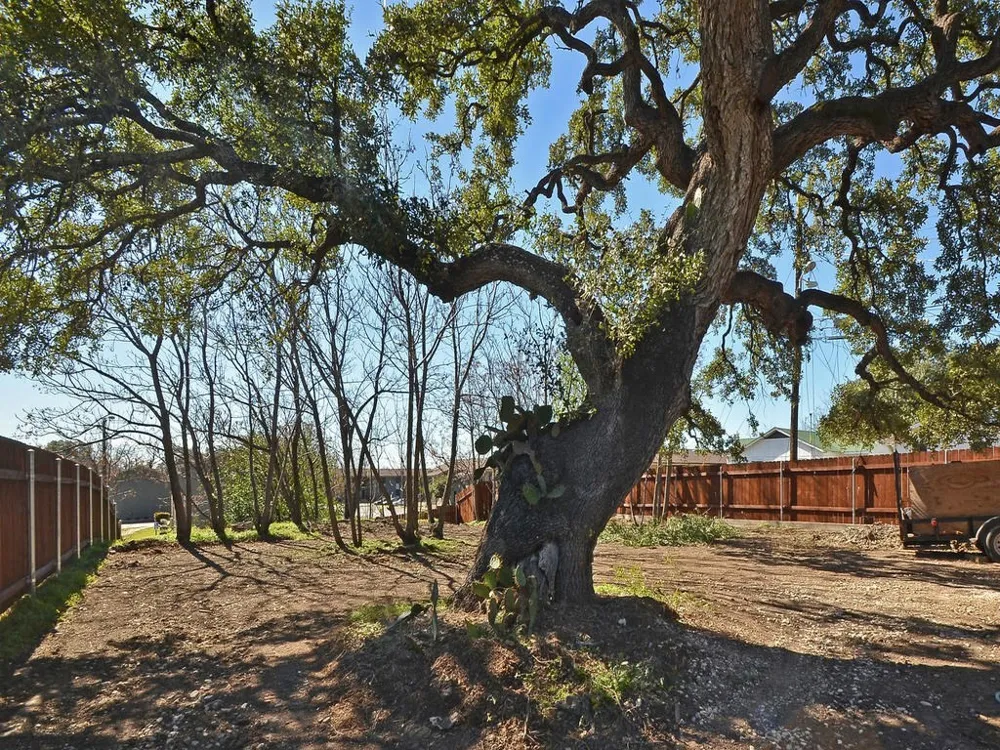 3141 E 12th Street #C Austin, TX 78702