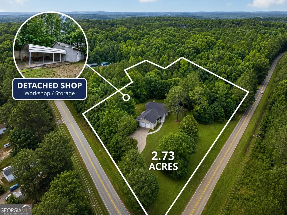 1981 Lee Peters RD Loganville, GA 30052