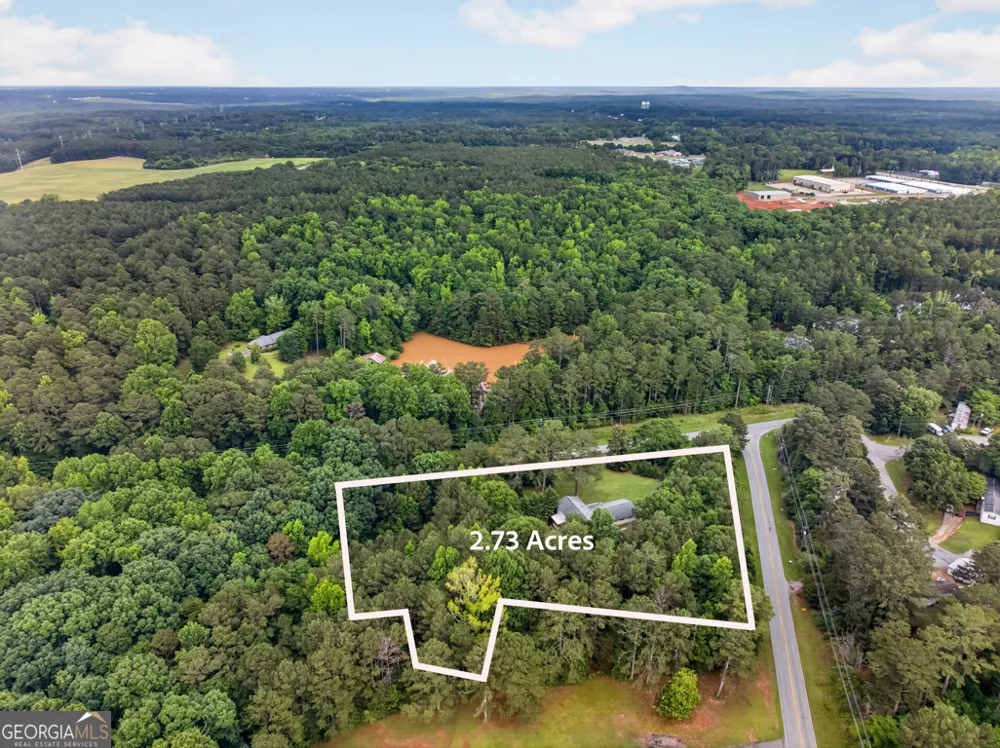 1981 Lee Peters RD Loganville, GA 30052