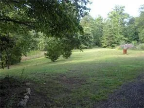8145 Stone Hill Road Cumming, GA 30028