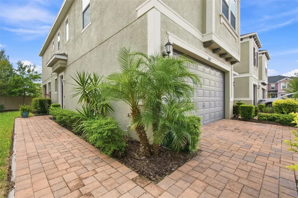 3207 PAINTED BLOSSOM COURT Lutz, FL 33558