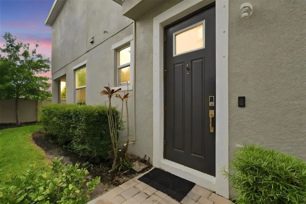 3207 PAINTED BLOSSOM COURT Lutz, FL 33558
