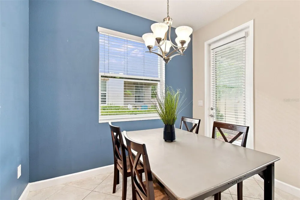 3207 PAINTED BLOSSOM COURT Lutz, FL 33558