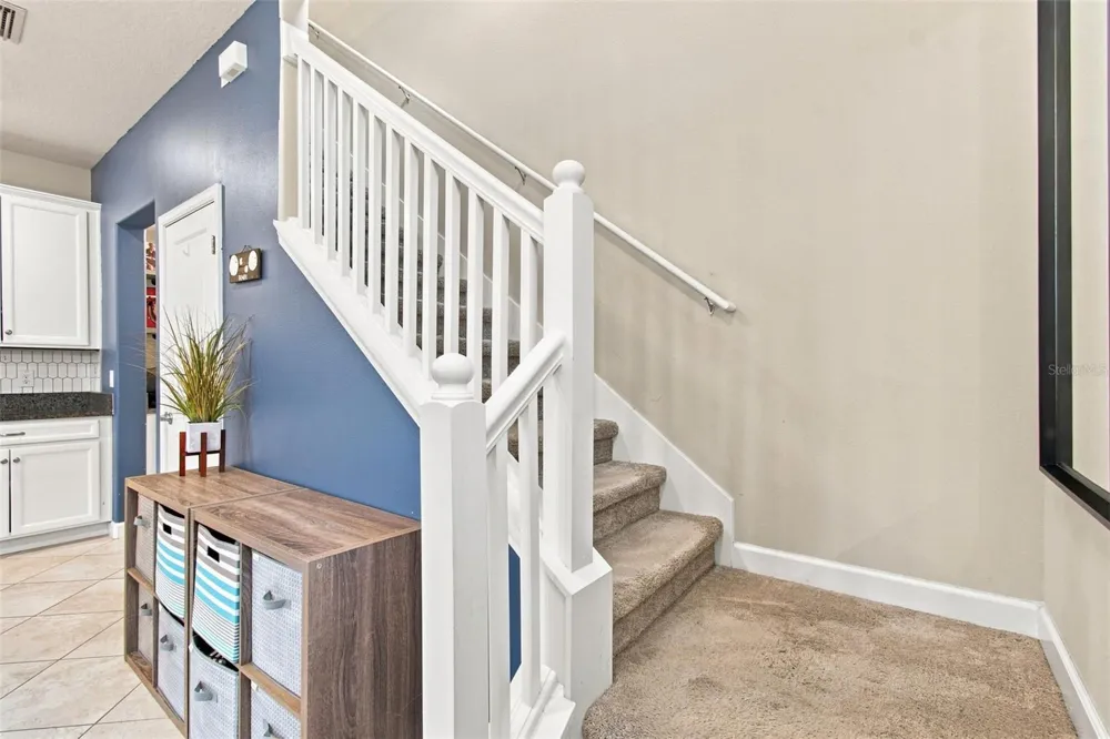 3207 PAINTED BLOSSOM COURT Lutz, FL 33558