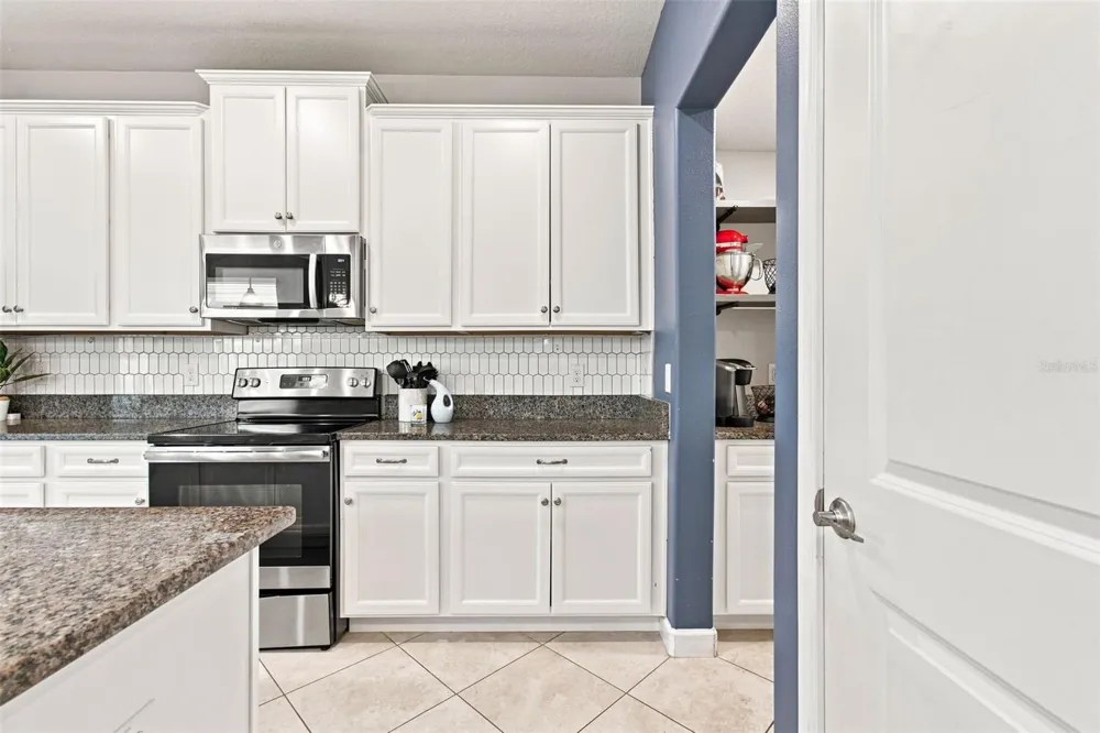 3207 PAINTED BLOSSOM COURT Lutz, FL 33558