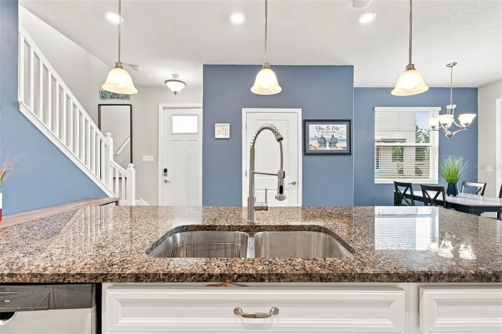 3207 PAINTED BLOSSOM COURT Lutz, FL 33558