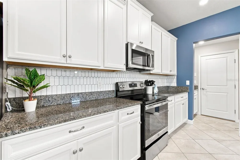3207 PAINTED BLOSSOM COURT Lutz, FL 33558